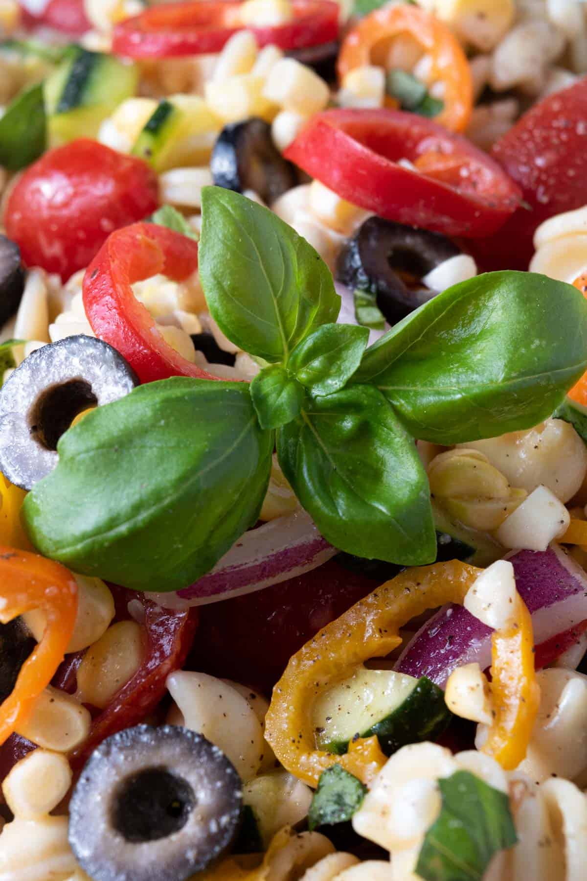 A basil garnish on summer vegetable pasta salad.