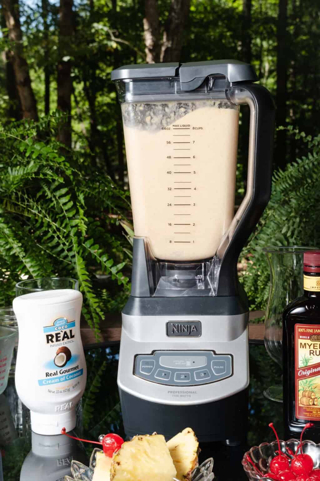 Piña Colada with Dark Rum & Fresh Pineapple - Mandi of the Mountains