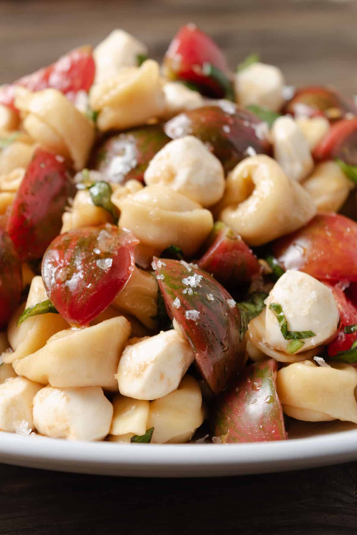 Closeup of tortellini caprese salad with mozzarella, tomatoes, and basil.