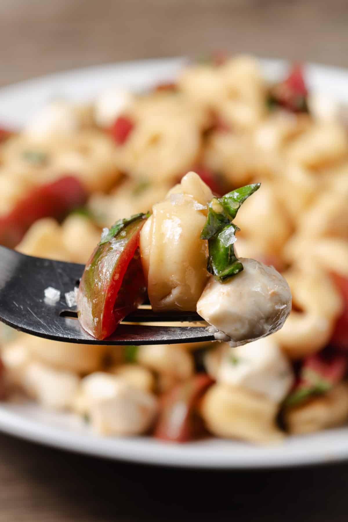 A bite of tortellini, mozzarella, tomato, and basil.