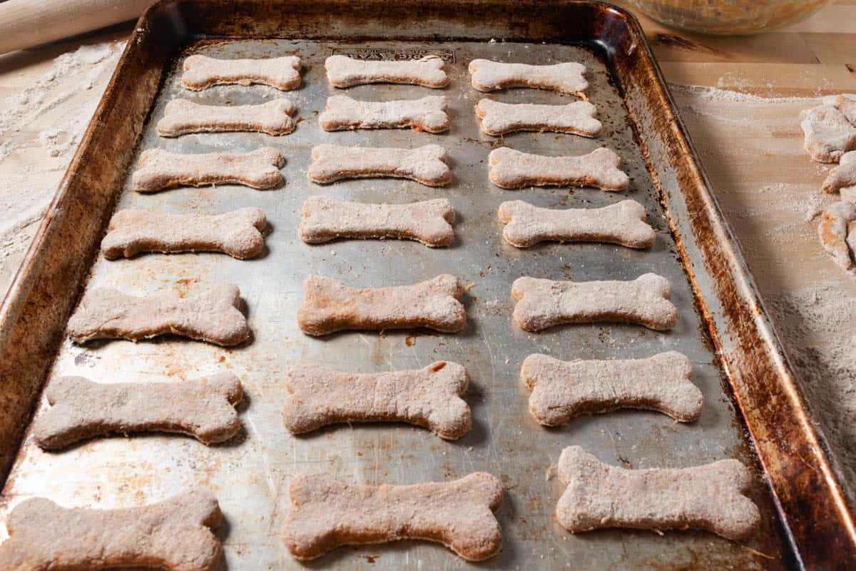 A baking sheet full of bone shaped dog biscuits ready to be baked.