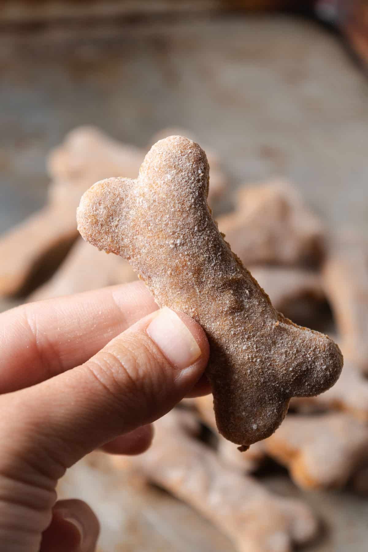 A hand holding a homemade bone shaped dog treat.