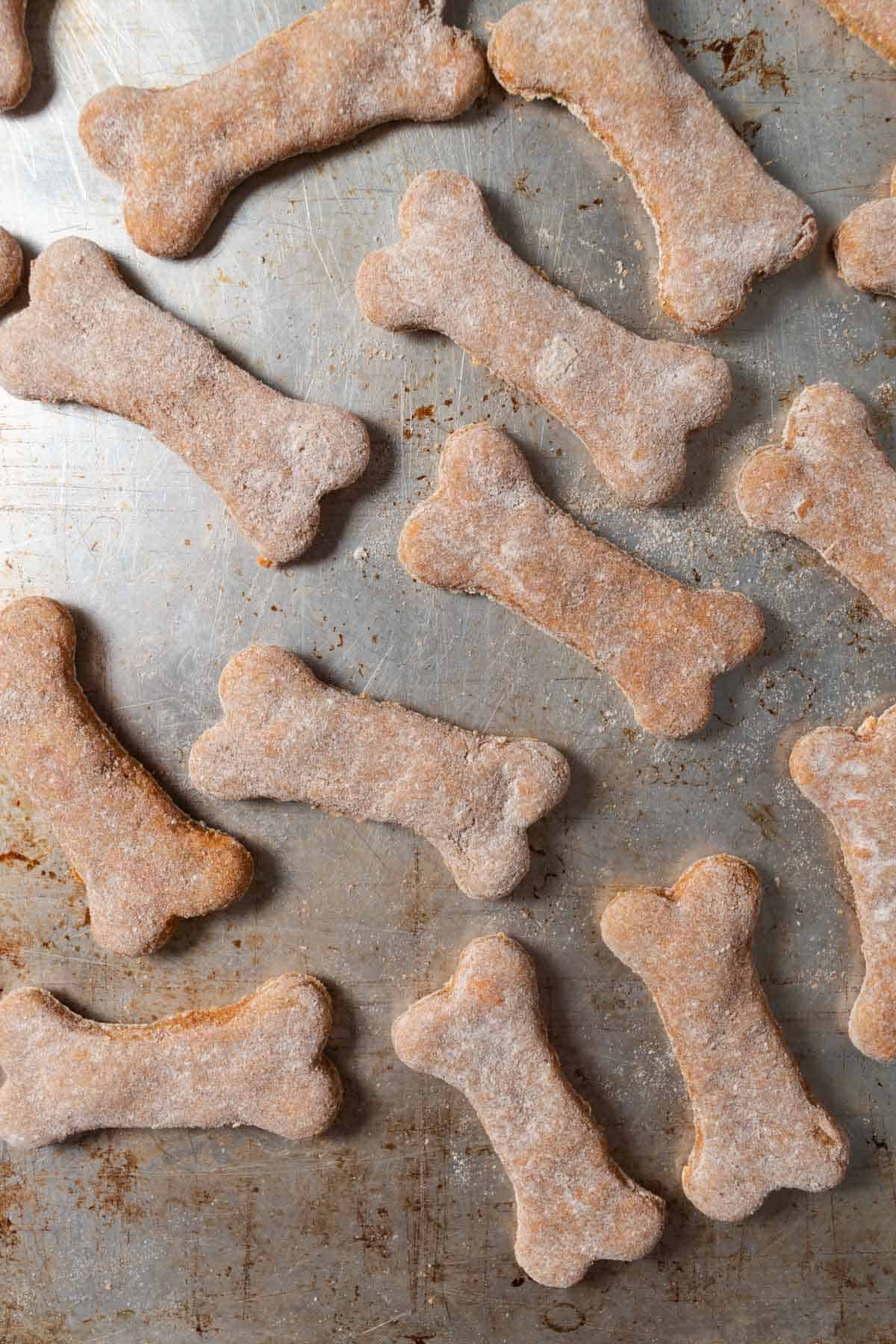 Freshly baked sweet potato dog treats shaped like bones on a cookie sheet.