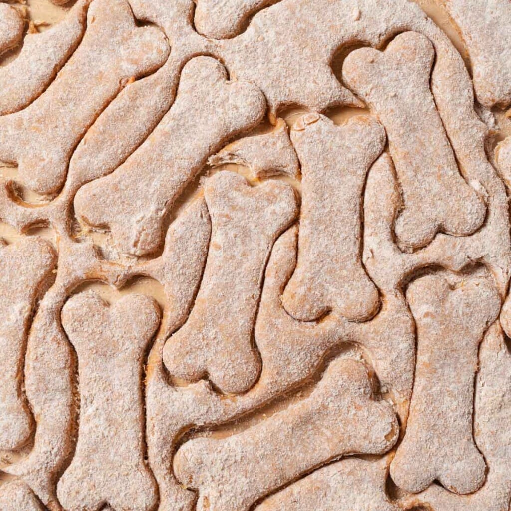 Dog cookie dough rolled out and cut into bone shapes.