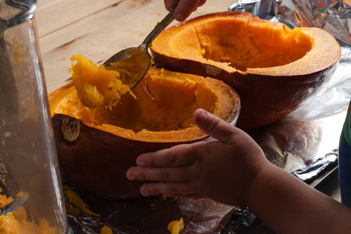 The Easiest Homemade Pumpkin Puree and How to Freeze it Mandi of the