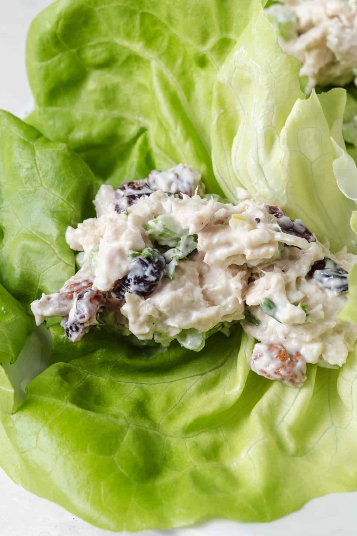 A chicken salad lettuce wrap with pecans and dried craisins.