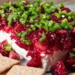 An easy 3 ingredient dip made with cream cheese, cranberry sauce, and jalapeno peppers.