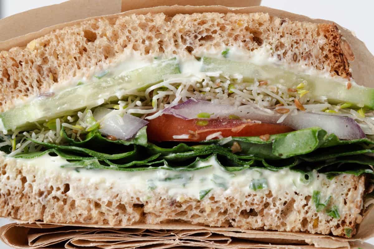 The Best Cream Cheese Veggie Sandwich Mandi of the Mountains