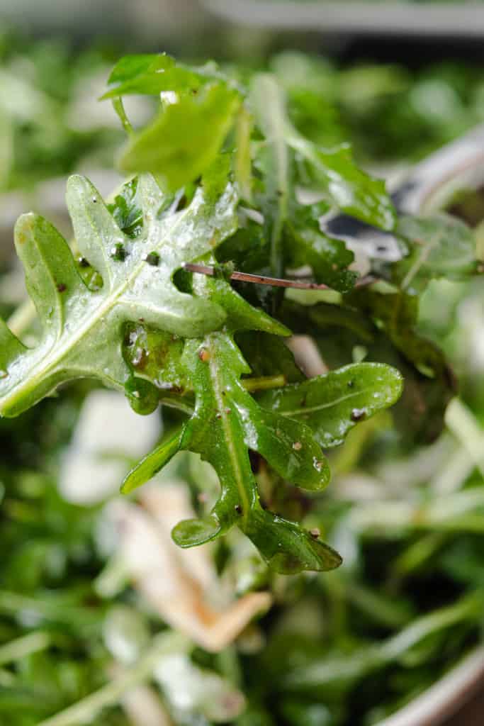 A bite of rocket salad on a fork.