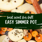 A pin depicting a fall simmer pot recipe.