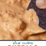 A pin depicting slow cooker buffalo chicken dip.