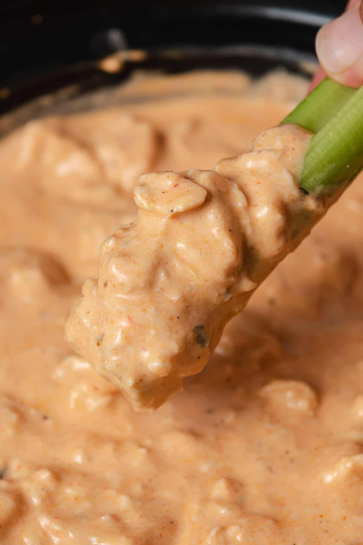 A celery stick dipped in slow cooker buffalo chicken hot wing dip.