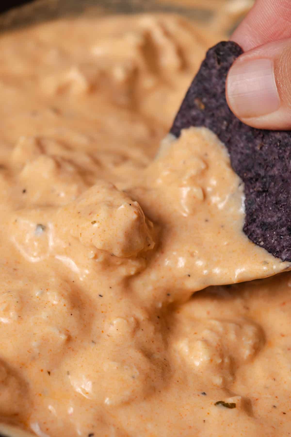 A blue corn tortilla chip dipped in slow cooker buffalo chicken hot wing dip.