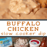 A pin depicting slow cooker buffalo chicken dip.