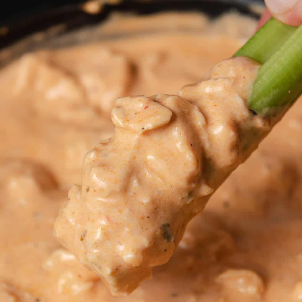 A stick of celery dipped in slow cooker buffalo chicken hot wing dip.