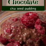 A pin depicting raspberry and chocolate chia seed pudding.