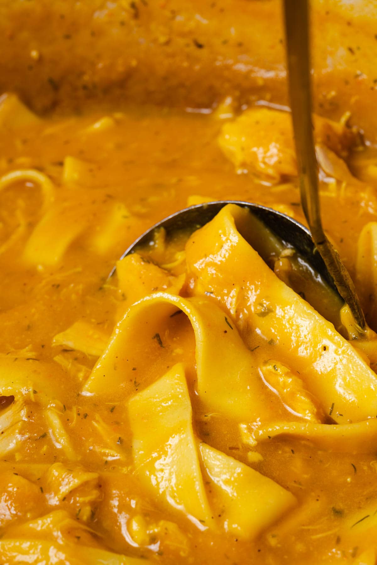 Using a ladle to scoop up homemade healing chicken noodle soup.