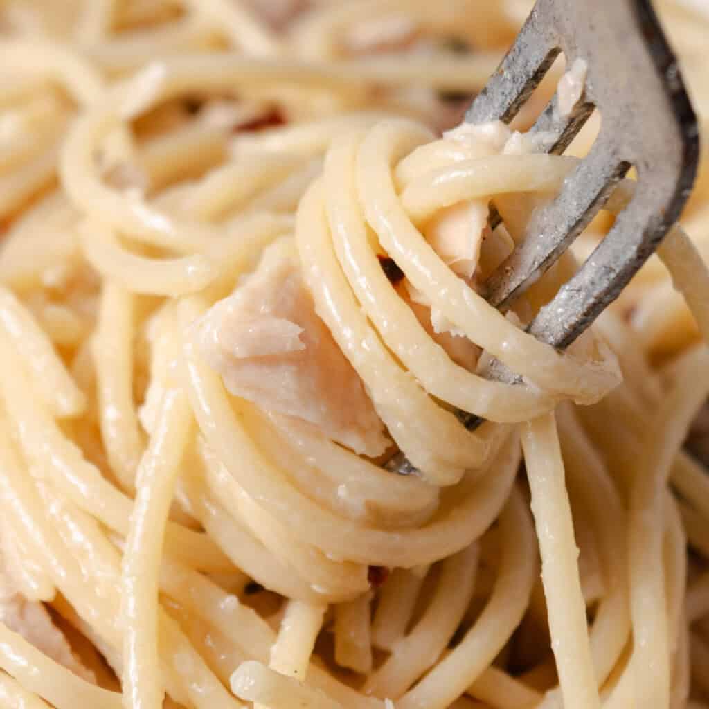 Twirling a bite of simple tuna butter spaghetti on a fork.