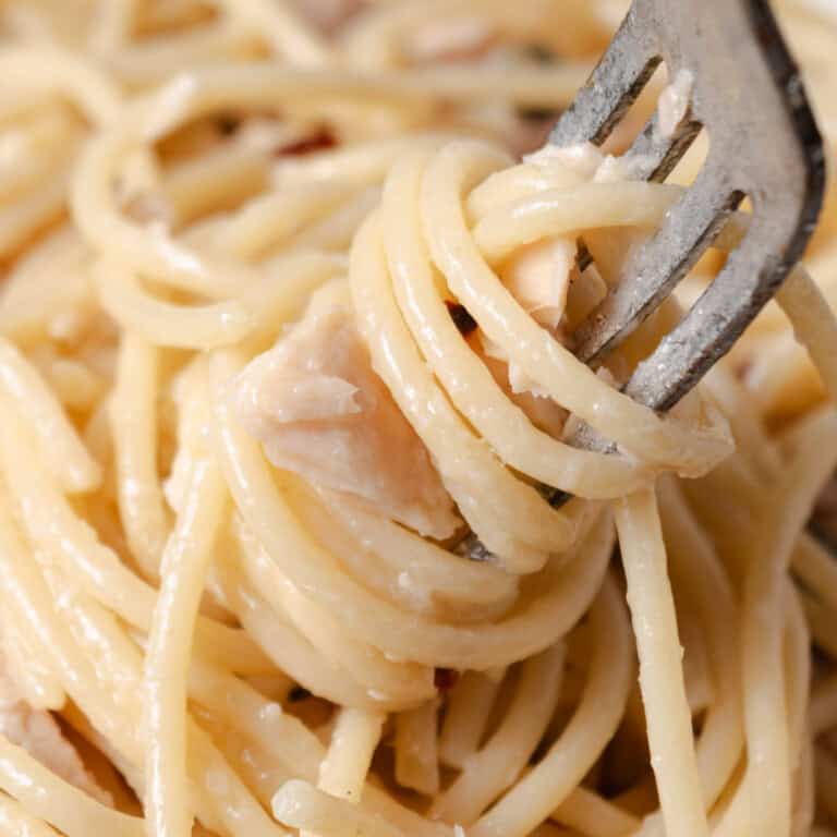 Twirling a bite of simple tuna butter spaghetti on a fork.