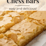 A pin depicting Southern Chess Bars.